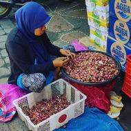 Bali Hollidays