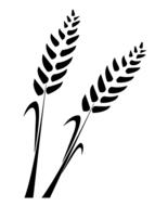 the wheat silhouette drawing