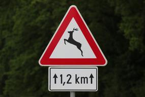 Traffic Sign Deer On The Street