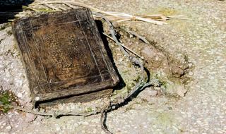 old book world war