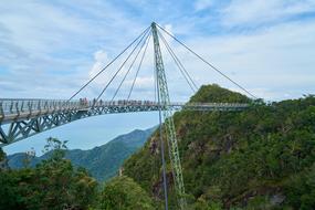 Rope Bridge Architecture in forest