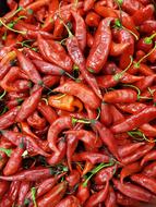 spicy red vegetable