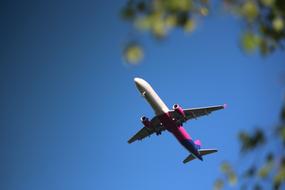 The Plane Landing Spring