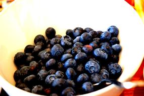fresh sweet blueberries