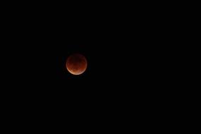 Blood Moon Night