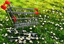 an iron wagon in a flower meadow