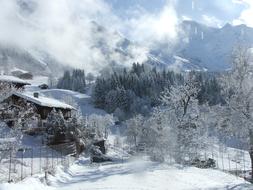 Jungfrau Winter Daylight