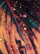colorful Abstract Wallpaper Images