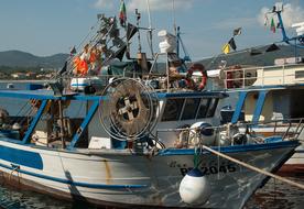 Boat Fishing Port
