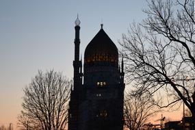The Mosque in Vienna