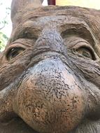 Tree Face Nose