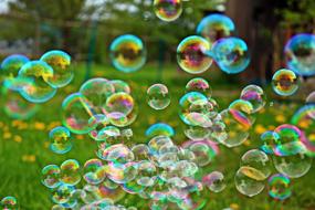 Spring Soap Bubble Meadow