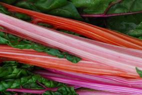 red long vegetable
