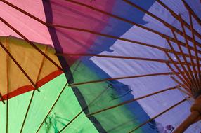 Colorful Umbrellas Bamboo close-up