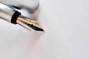 Filler Fountain Pen Writing
