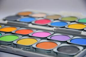 Paint Palette Color
