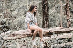 photo of girl on tree forest