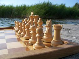 Chess Pieces The Basic