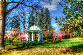 Gazebo Spring County