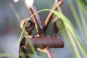 Art Iron Rust