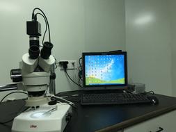 An Optical Microscope Image