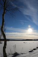snowy field in the sunshine
