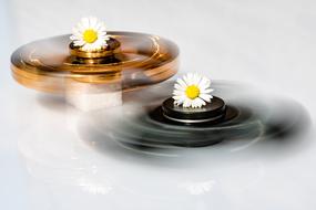 colored spinners decorated with daisies