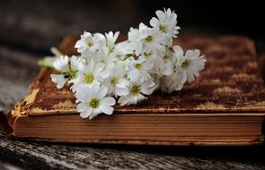 Book Old Read