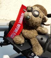 Bear Motorcycle Glasses Remove