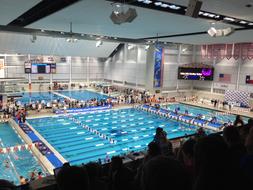 Natatorium Swim