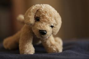 Plush Toy on a blurred background