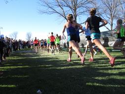 Cross-Country Runners at Finish of Race
