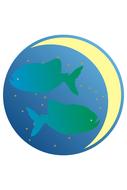 fish zodiac sign zodiac moon star