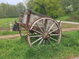 Coach Horse Drawn Carriage Wagon
