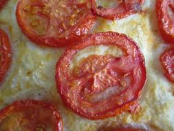 Focaccia Pizza Tomatoes