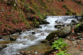 Waterfall Water