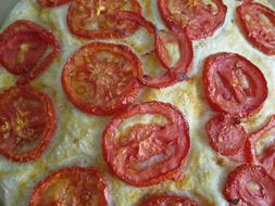 hot tomato pizza