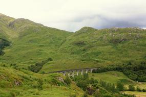 Viaduct Railway Harry