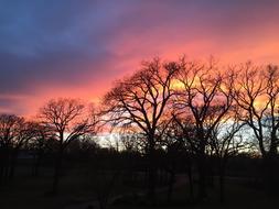 Orange Sunset at skyline