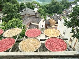 Sun Qiu Huang Ling