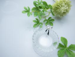 Freshwater Pearl Necklace