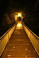 bridge in golden illumination in hamburg