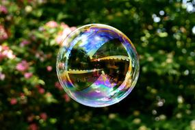 Rainbow soap bubble in the air