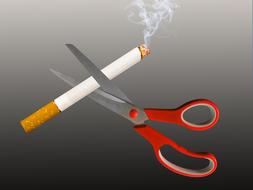 smoking non smoking smoking ban