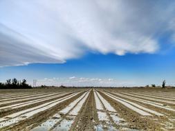 farm wet fields