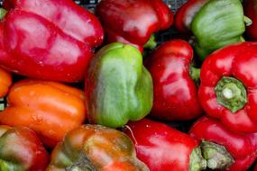 Sweet healthy peppers