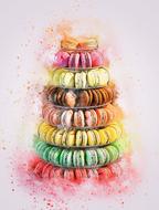 cake pastry macaroon colorful art