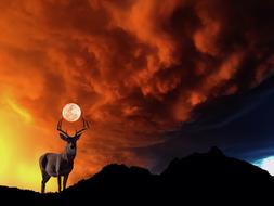 deer on a hill against the background of the moon at dusk