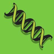 dna icon on a green background