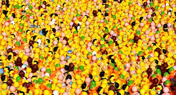 Quietscheenten Colorful Plastic